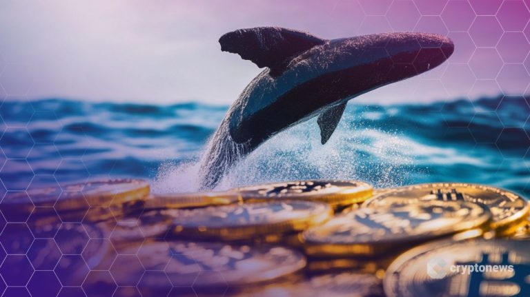 Whales Move Billions to Binance While Crypto Buying Demand Remains Muted: Analyst